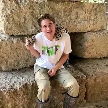 Ce jaguar donne des bisous à un jeune homme. Trop chou !