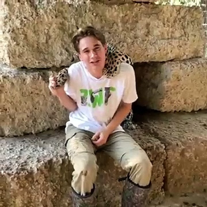 Ce jaguar donne des bisous à un jeune homme. Trop chou !