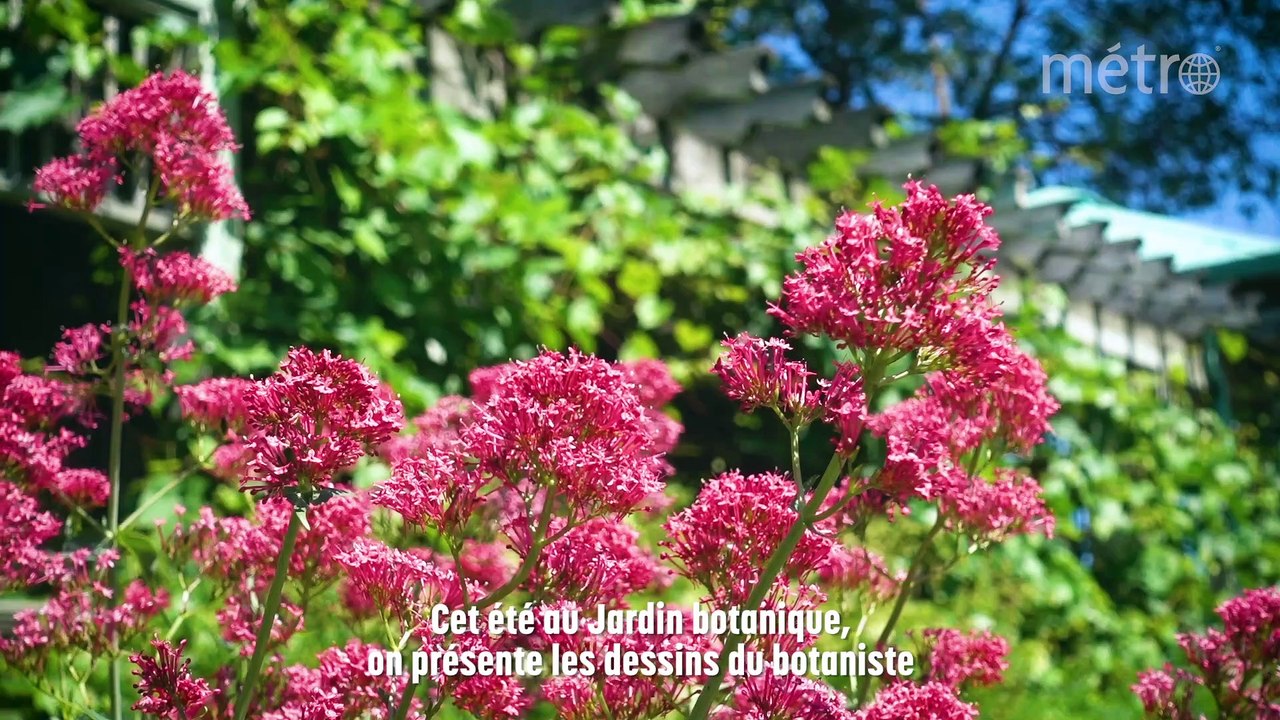 Une journée au Jardin botanique de Montréal