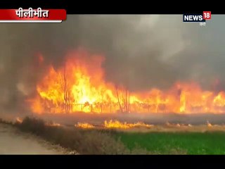 पीलीभीत: पोल्ट्री फार्म में लगी भीषण आग, 6200 मुर्गियां जलीं