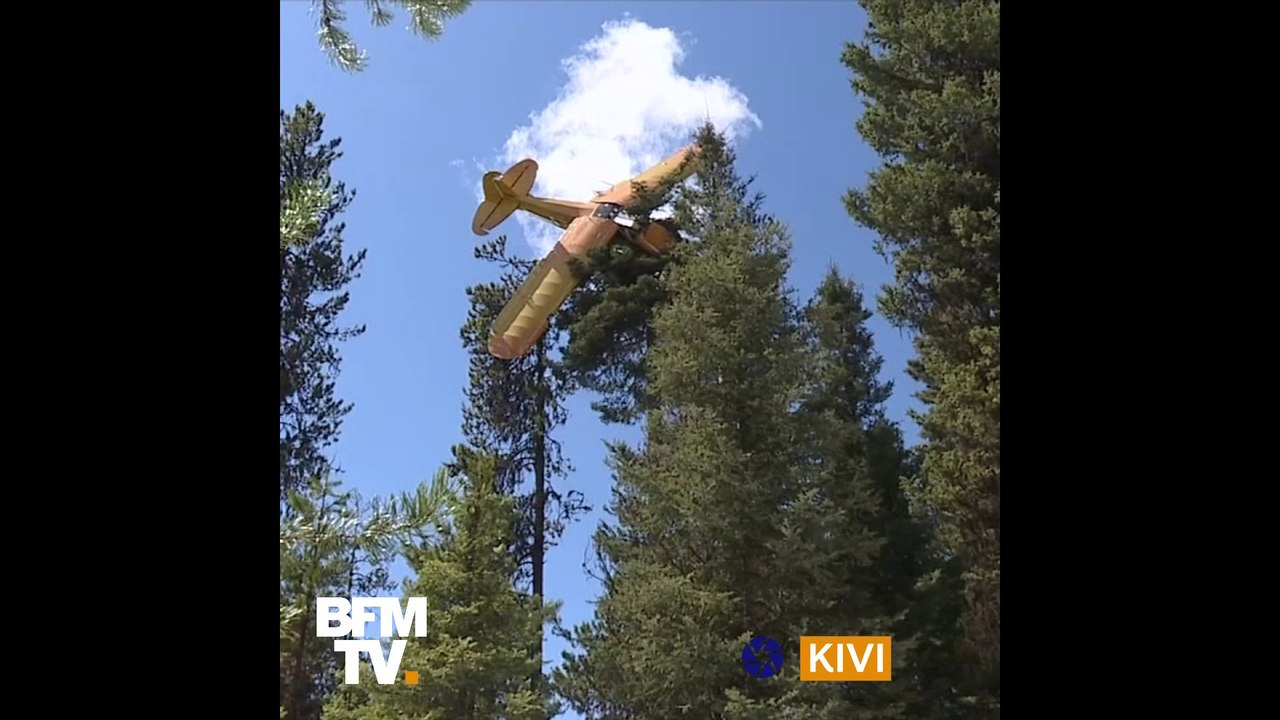 Un pilote atterrit malencontreusement dans un arbre de 18 mètre haut aux États-Unis