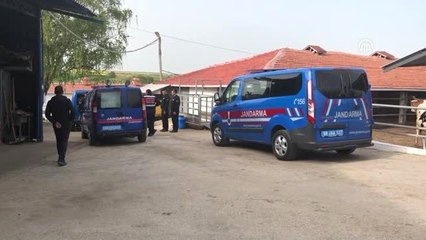 Koyun Kırkan 11 İşçi Akıma Kapıldı