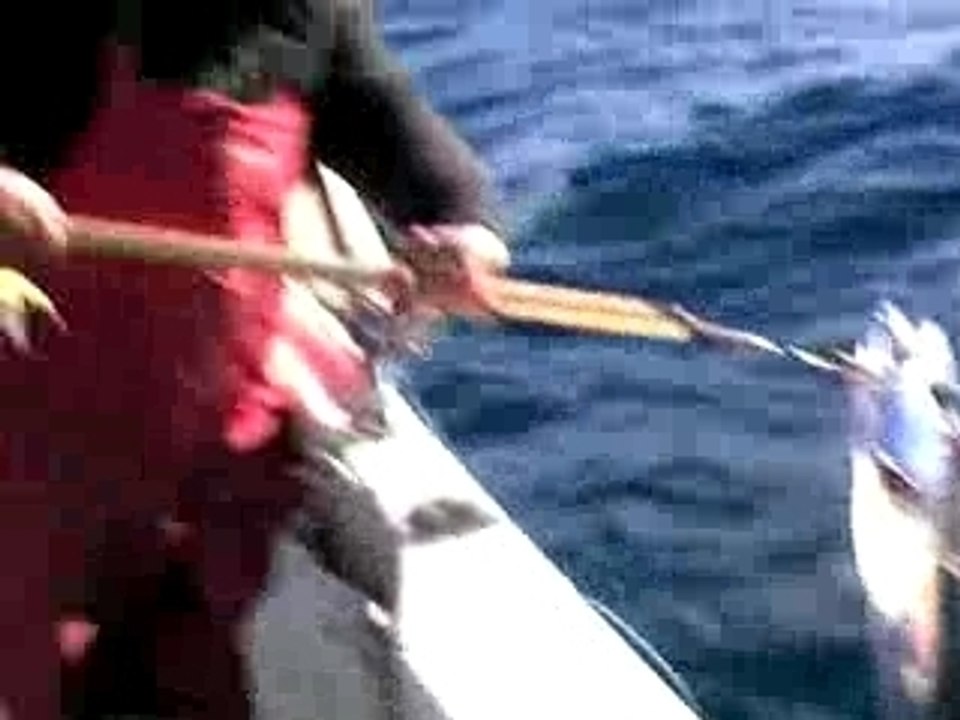 doublé de rade sud