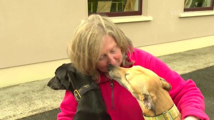 Patricia Tobin On Rte Nationwide - Re Retired Greyhounds