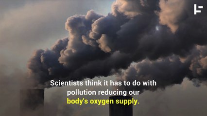 Air Pollution Is Doing Much More Than Just Killing Us