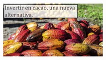 Ibrahim Velutini Sosa Invertir en cacao, una nueva alternativa
