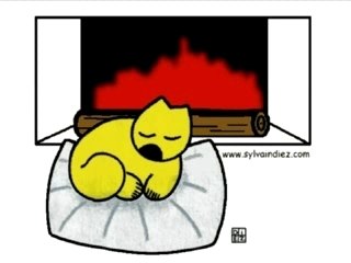 Certains l'aiment chaud