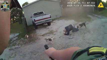 Poliziotto salva un ragazzo da attacco di cani