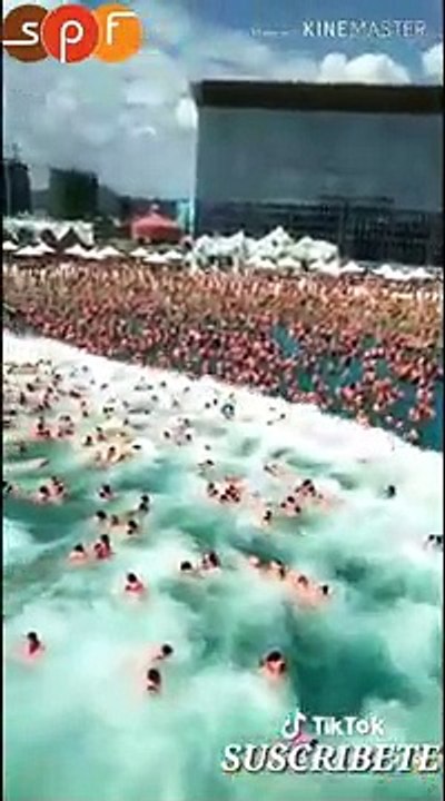 the best viral videos los mejores videos virales