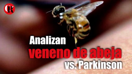 Analizan veneno de abeja vs. Parkinson