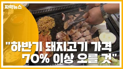 [자막뉴스] "하반기 돼지고기 가격 70% 이상 오를 것"...이유는? / YTN