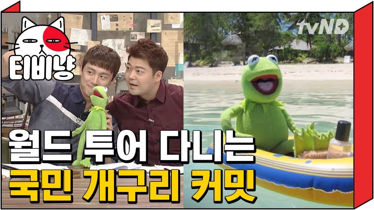 [티비냥] 월드 투어 다니는 국민 개구리 커밋│ 프리한19 160516 #7