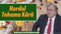 Hardal Tohumu Kürü - İbrahim Saraçoğlu