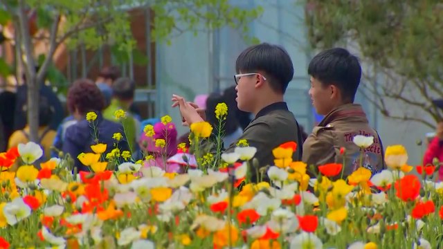 [날씨] 주말 맑고 포근...한때 중서부 미세먼지 / YTN