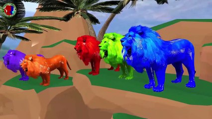 Learn Lion Finger Family Rhymes For Childrens ## || Lion Finger Family Song For Toddlers