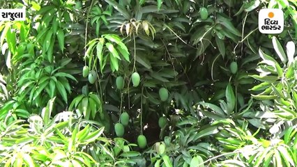 મહેસાણી બાળકે મામાના ઘરે જવા જીદ પકડી, શિક્ષકે રોડ પર જ પરીક્ષા લેવી પડી