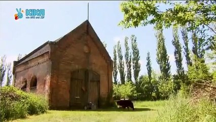 Löwenzähnchen 26 Keks und die Ausreißer