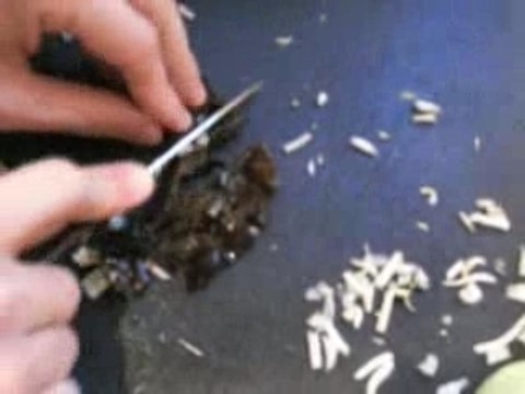 Recette des nems vietnamien au crabe et crevettes (ma recette familiale!)