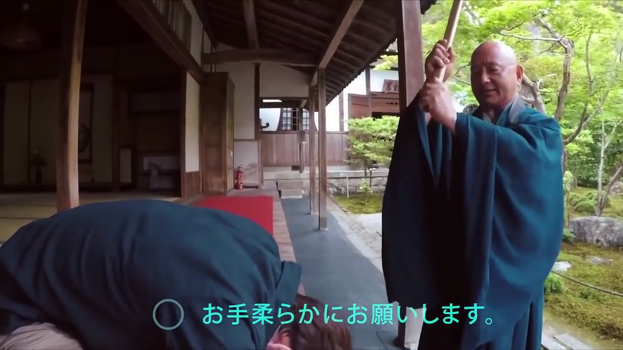 Amazing Instant Voice Translator NO Wi Fi Needed Works Offline ILI