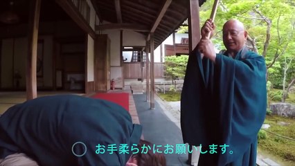 Amazing Instant Voice Translator NO Wi Fi Needed Works Offline ILI