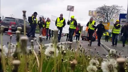 Kehl : une poignée de gilets jaunes sur le pont