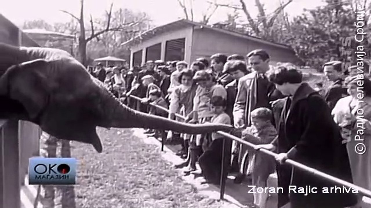 1959. Belgrade Zoo