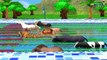Learn Colors Learn Counting Numbers Wi Wild Zoo Animals Swimming Pool Race Cartoon Animated Rhymes