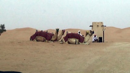 Dunes en 4x4
