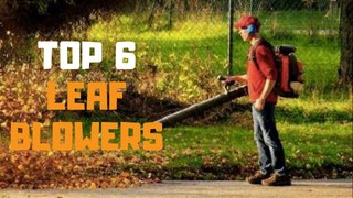 Best Leaf Blower in 2019 - Top 6 Leaf Blowers Review