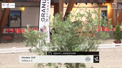 GN2019 | DR_01_LeMans | Pro Elite Grand Prix - Grand National | Wiedeke ZIJP | CAROLA G