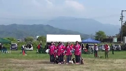 K9名物！犬の集団行動演技　松山チーム（ピンクパンサーズ）　