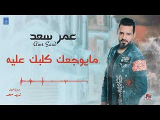 عمر سعد Amr Saad - مايوجعك كلبك عليه - كليبات عراقية 2019