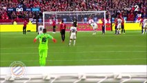 Rennes 0-[1] PSG - Dani Alves amazing volley goal