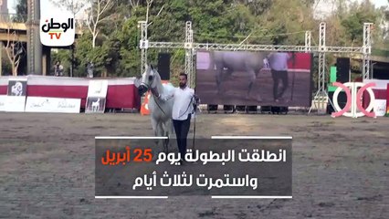 Скачать видео: بحضور أحمد بلال.. ختام بطولة شامبيون  لجمال الخيول العربية المصرية