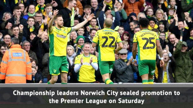 Norwich City promoted to Premier League