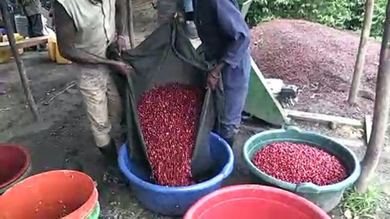 RDC: l'île d'Idjwi, la petite perle des Grands lacs