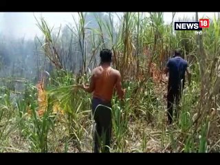 आग में गन्ने और गेहूं की फसलें जलकर हुई राख