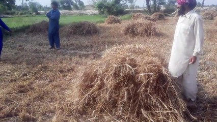 People of the village of PAKISTAN | Life in the Village