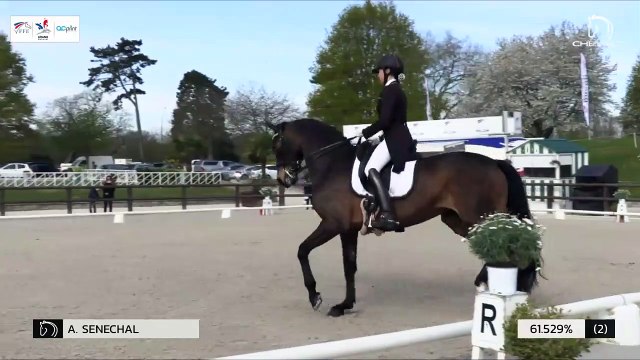 GN2019 | DR_02_Jardy | Pro Elite Grand Prix - Grand National | Alix SENECHAL | SERAFINA
