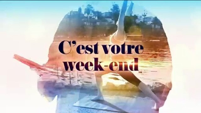 Découvrir les taureaux de Camargue