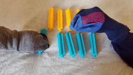 Learn to Count 1 to 10 | Learning Fun with FUNKY SOCKS