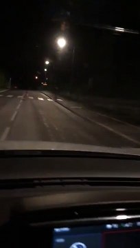 Drôme : un chevreuil filmé dans les rues de Bourg-lès-Valence