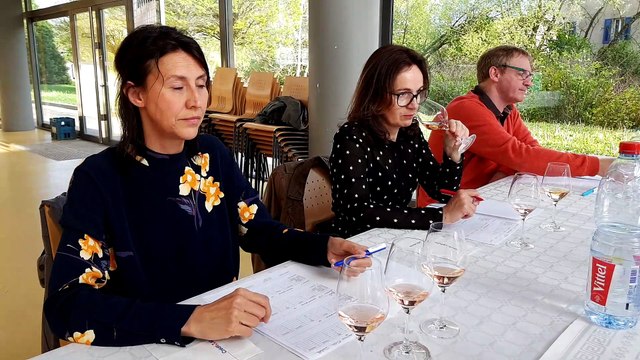 Concours des vins à Neufchateau