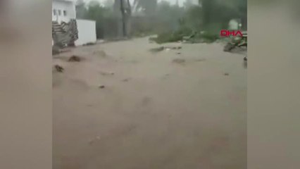 Dha Dış - Mozambik'te Kasırga Sonrası Sel En Az Beş Ölü