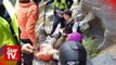 Malaysian tourist hurt in Taiwan quake succumbs to his injuries