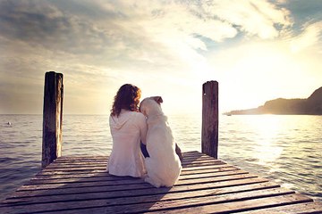 Les chiens sont-ils vraiment la copie conforme de leur maître ?