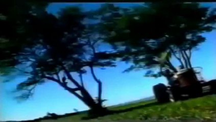 Caixa Eletrônica Federal na Copa do Mundo 1998