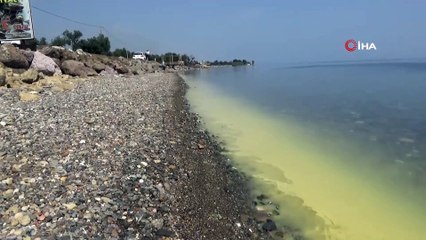 Ayvacık'da Deniz Yüzeyinde Oluşan Tabaka Şaşırttı