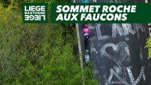 Sommet Roche aux Faucons  - Liège-Bastogne-Liège 2019