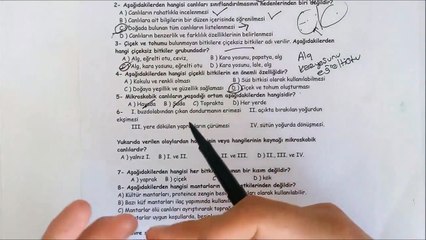 5. Sınıf FEN ve TEKNOLOJİ 2. Dönem 2. Yazılı Soruları ve Çözümü